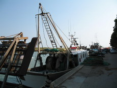 Italien Venetien Marano Lagunare 004.JPG